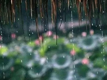家里溫濕平衡、四季如春，遠離梅雨季